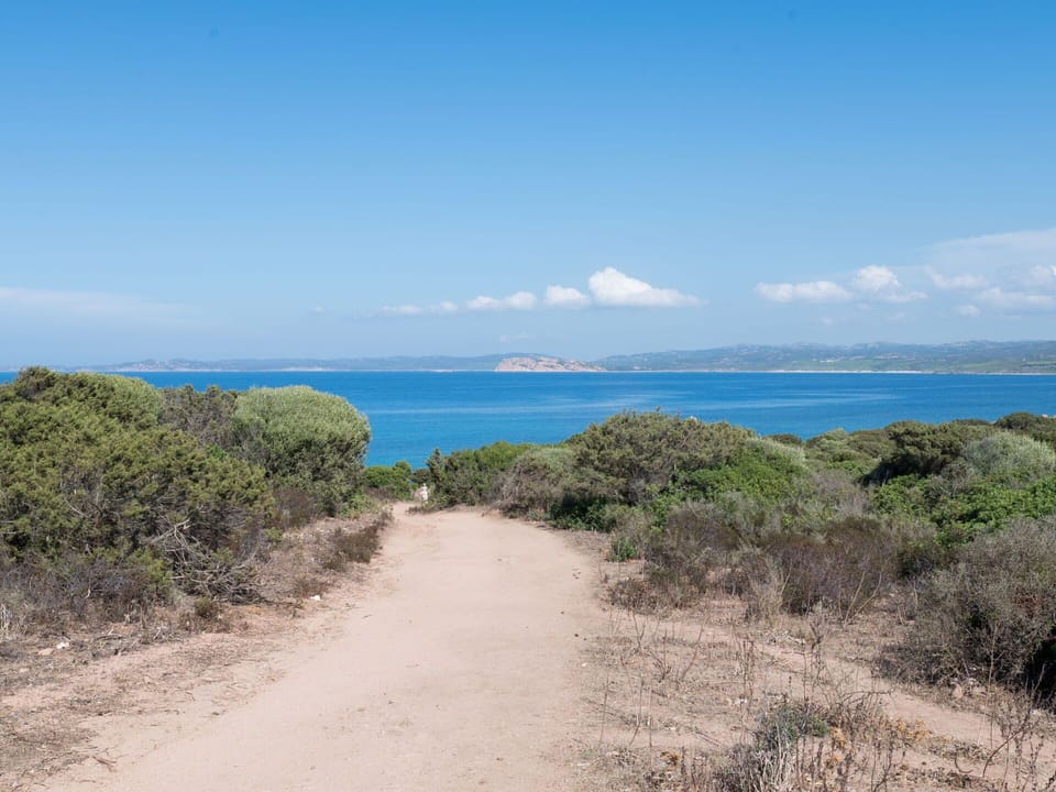 Sky, Blue, Horizon, Vegetation, Natural Landscape, Ecoregion, Summer, Coast, Plant Community, Coastal And Oceanic Landforms