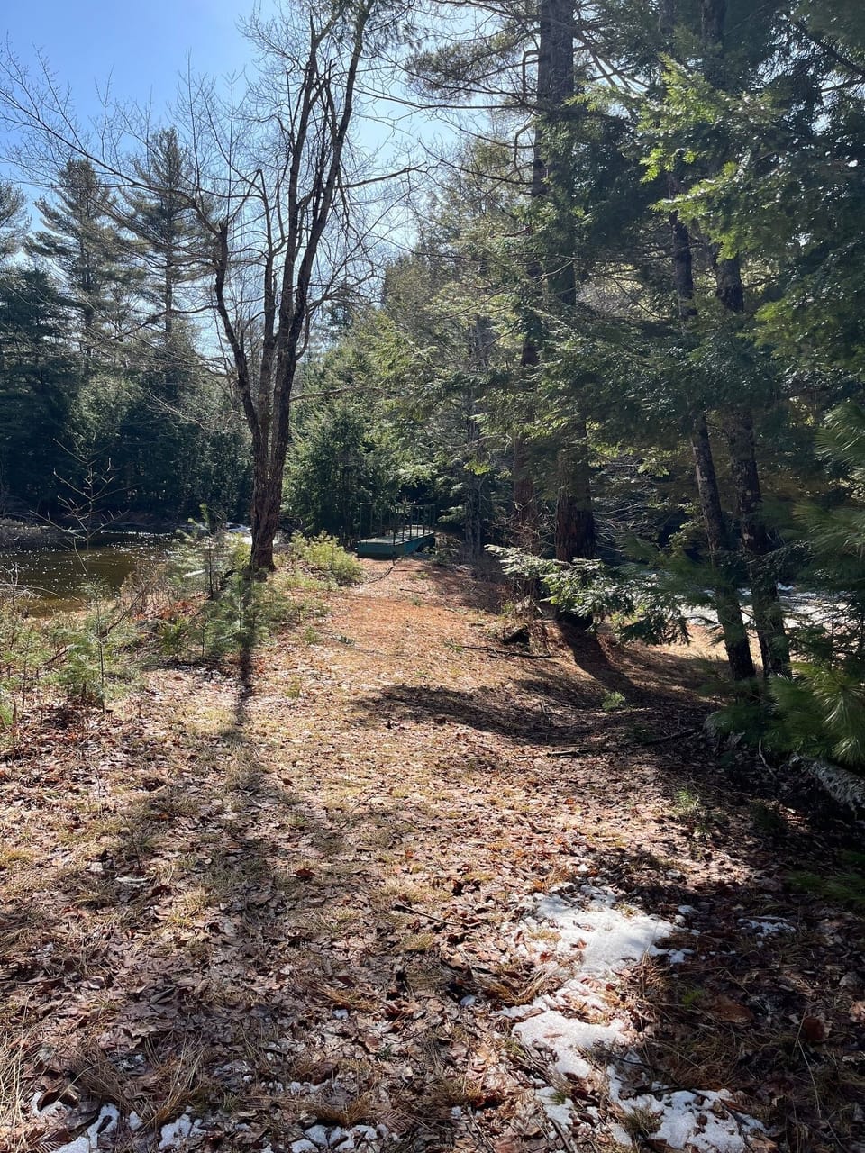 Part of hiking trail
