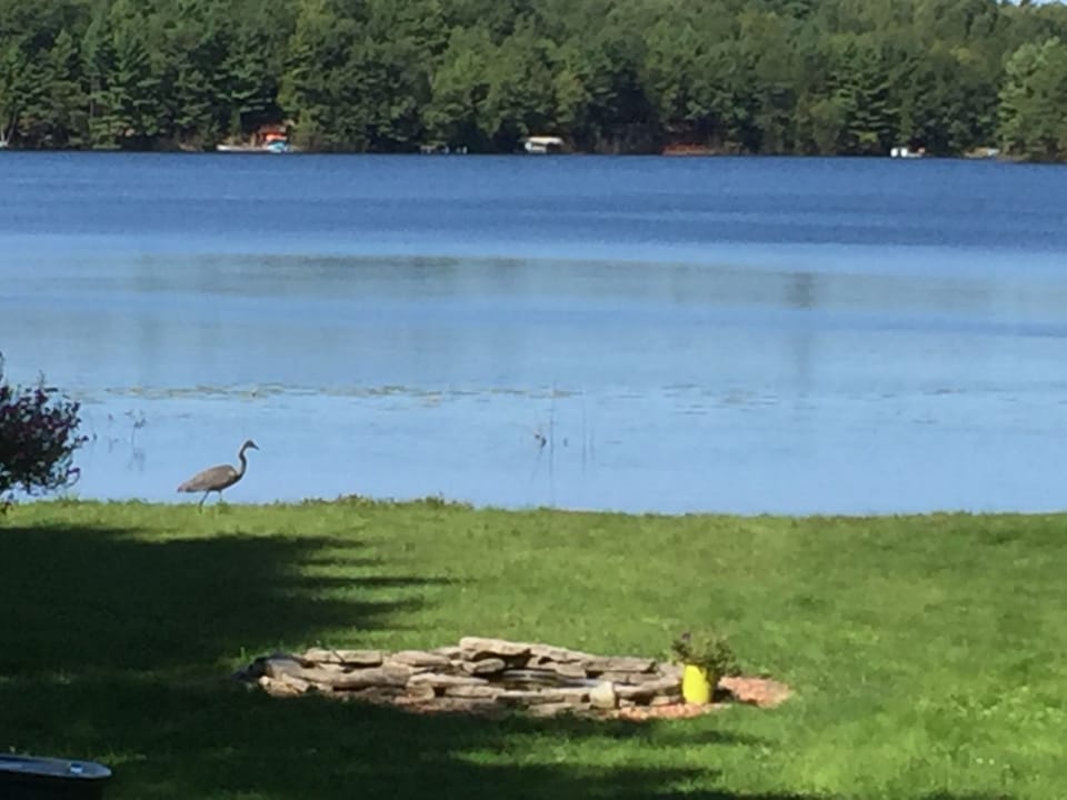 Expansive lawn and beach is perfect for your relaxation and many outdoor fun.
