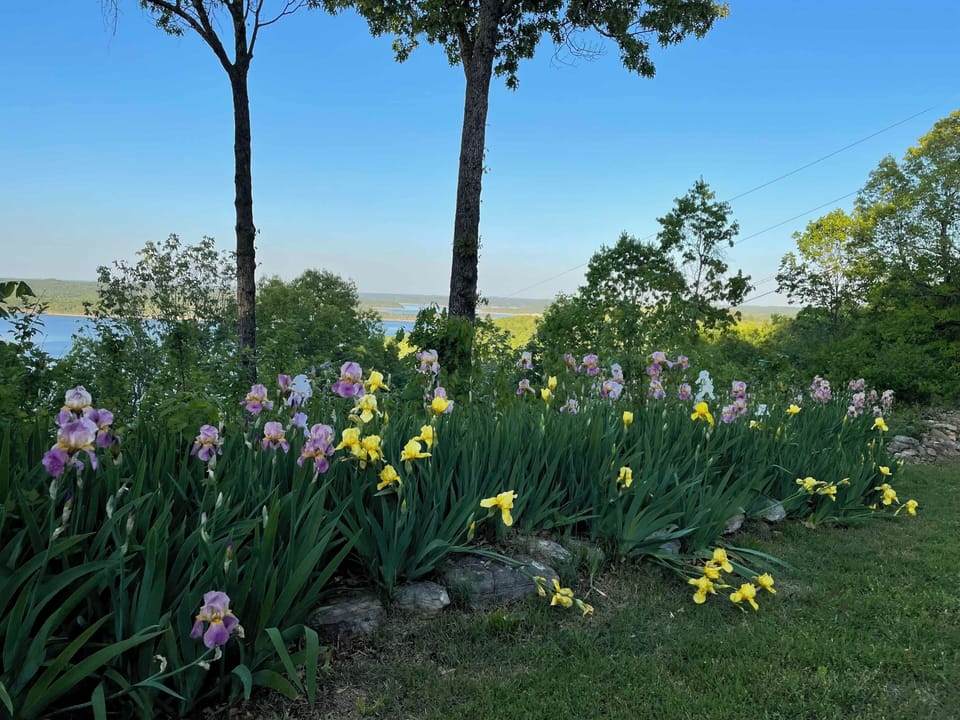 April in the Ozarks