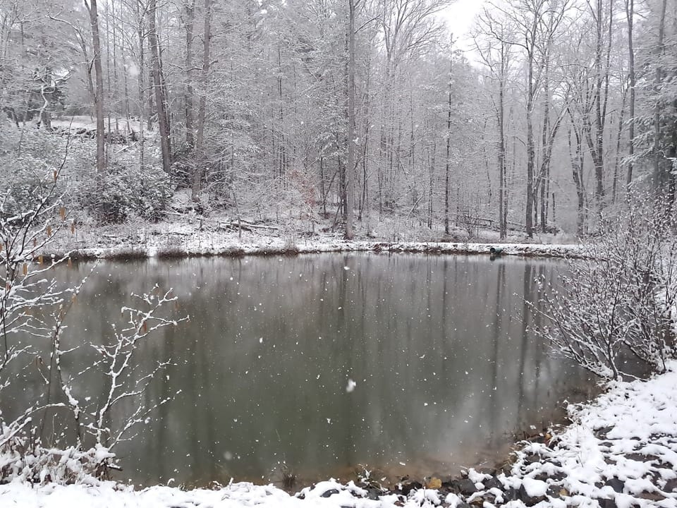 Trout Pond during a snowfall