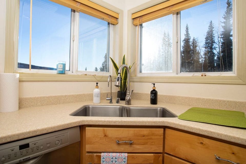 View from Sink