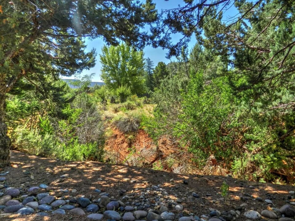 Gorgeous natural light leading to the backyard with double doors