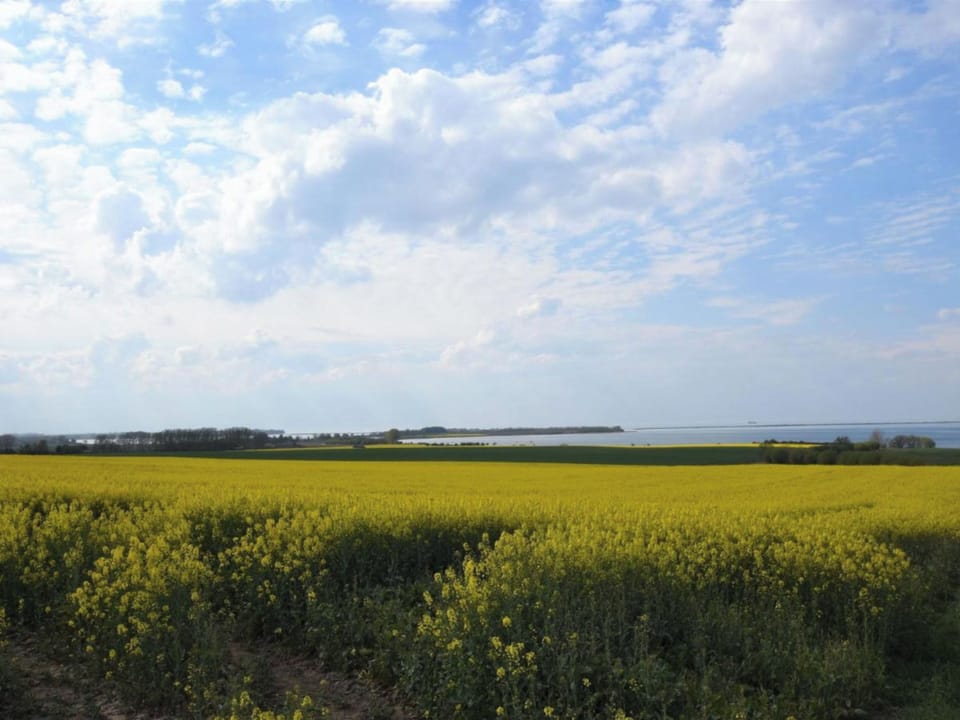 Surroundings [summer] (1-5 km)