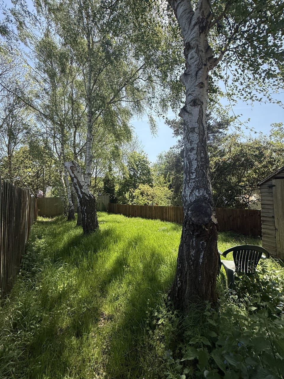 Back Garden