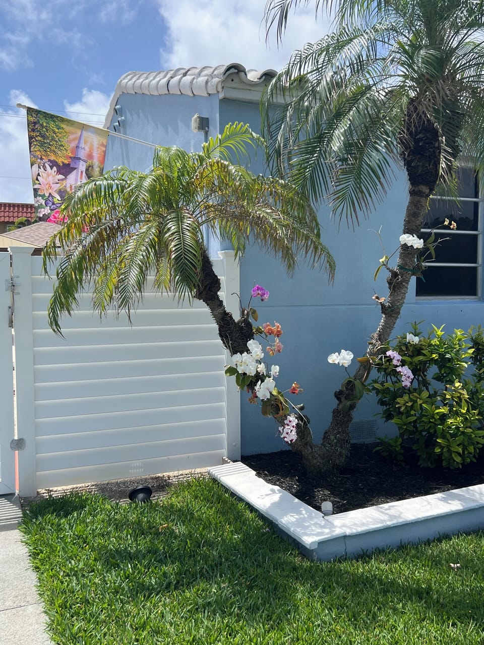 Front of home east corner with my beautiful blooming orchids