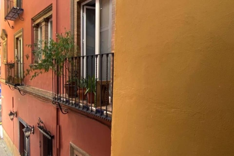 Calle/Street (2)