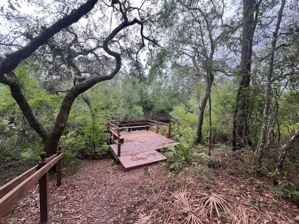 Dock Suwannee River
