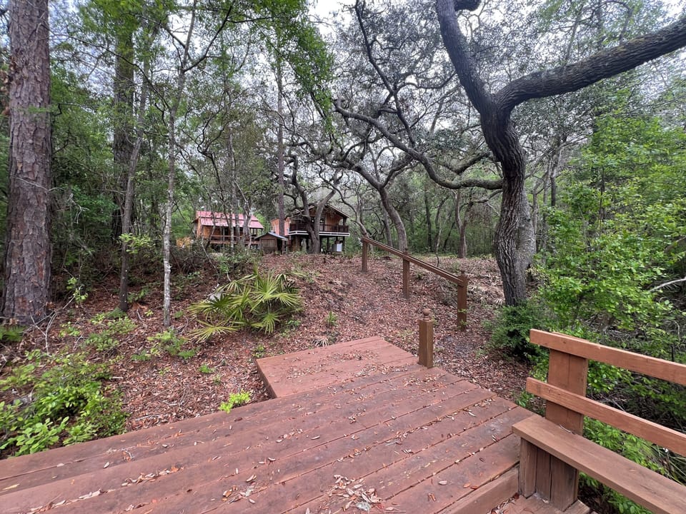 Dock by Suwannee River