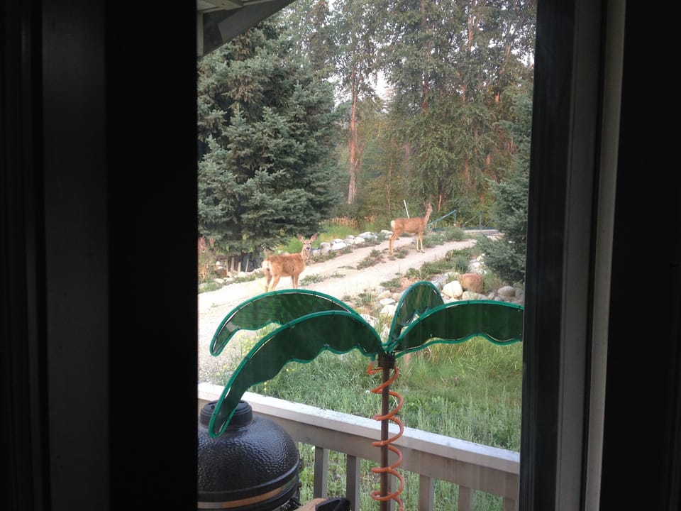 Wildlife