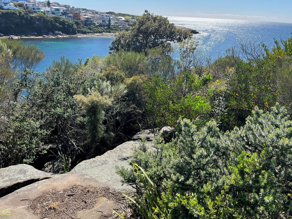 Coastal bush-land 5 minutes walk away