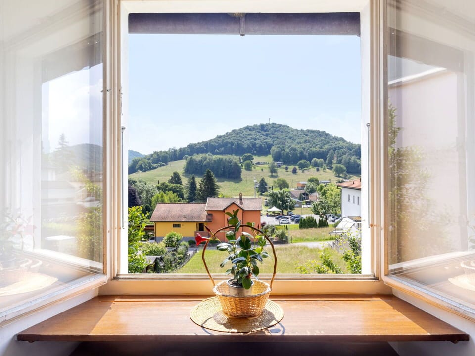 Plant, Building, Furniture, Property, Window, Flower, Table, Sky, Azure, Flowerpot