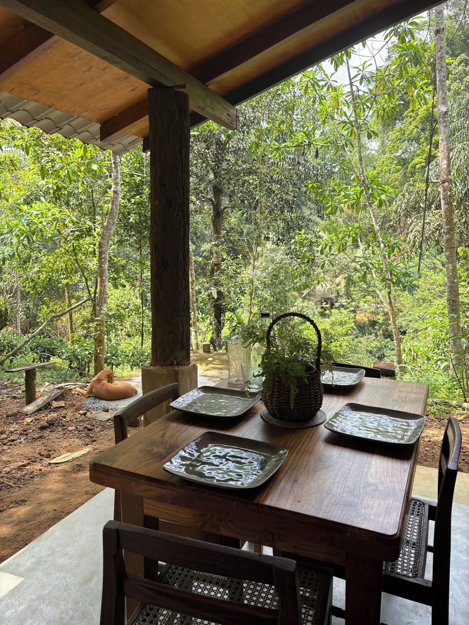 Outdoor dining