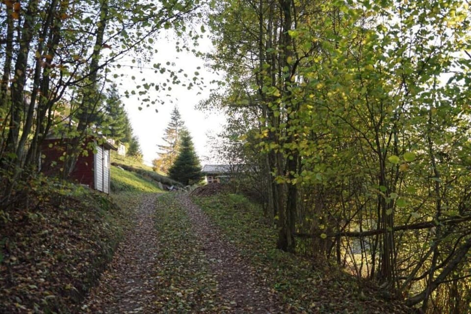 Region [summer] (>5 km)