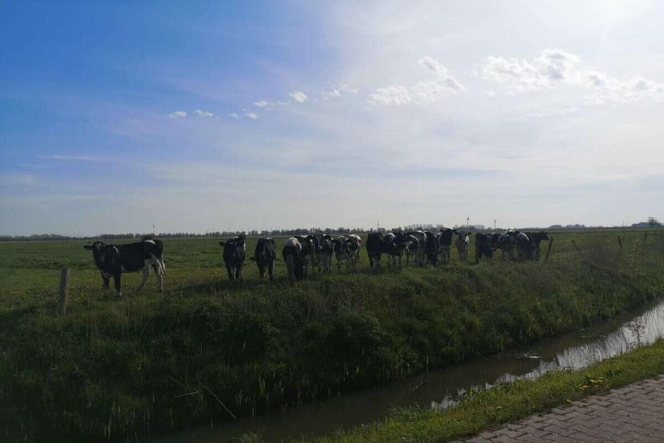 Surroundings [summer] (1-5 km)