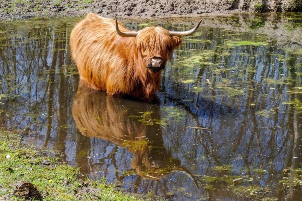 Region [summer] (>5 km)