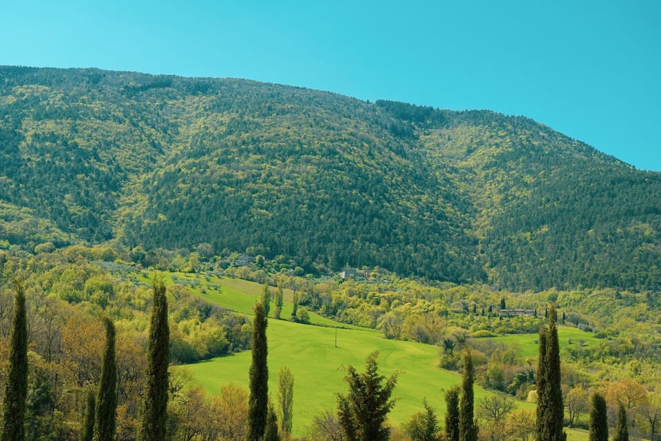 Immediate Surroundings [summer] (<1 km)