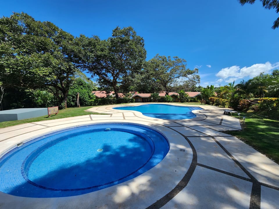 Eco Lagarto main pool
