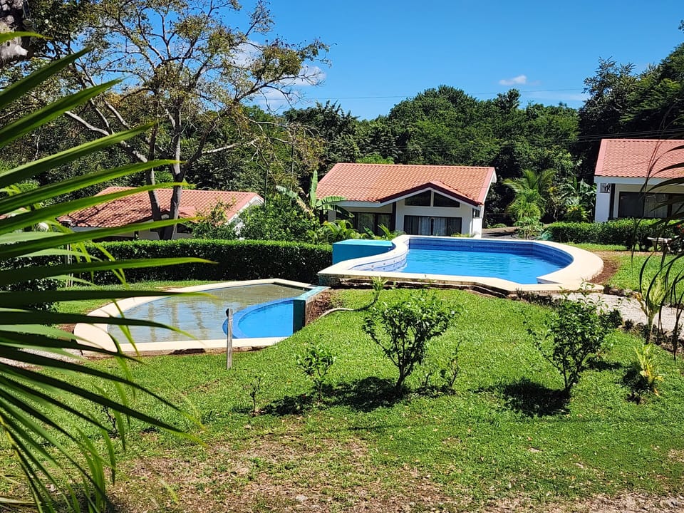 Eco Lagarto pool 3