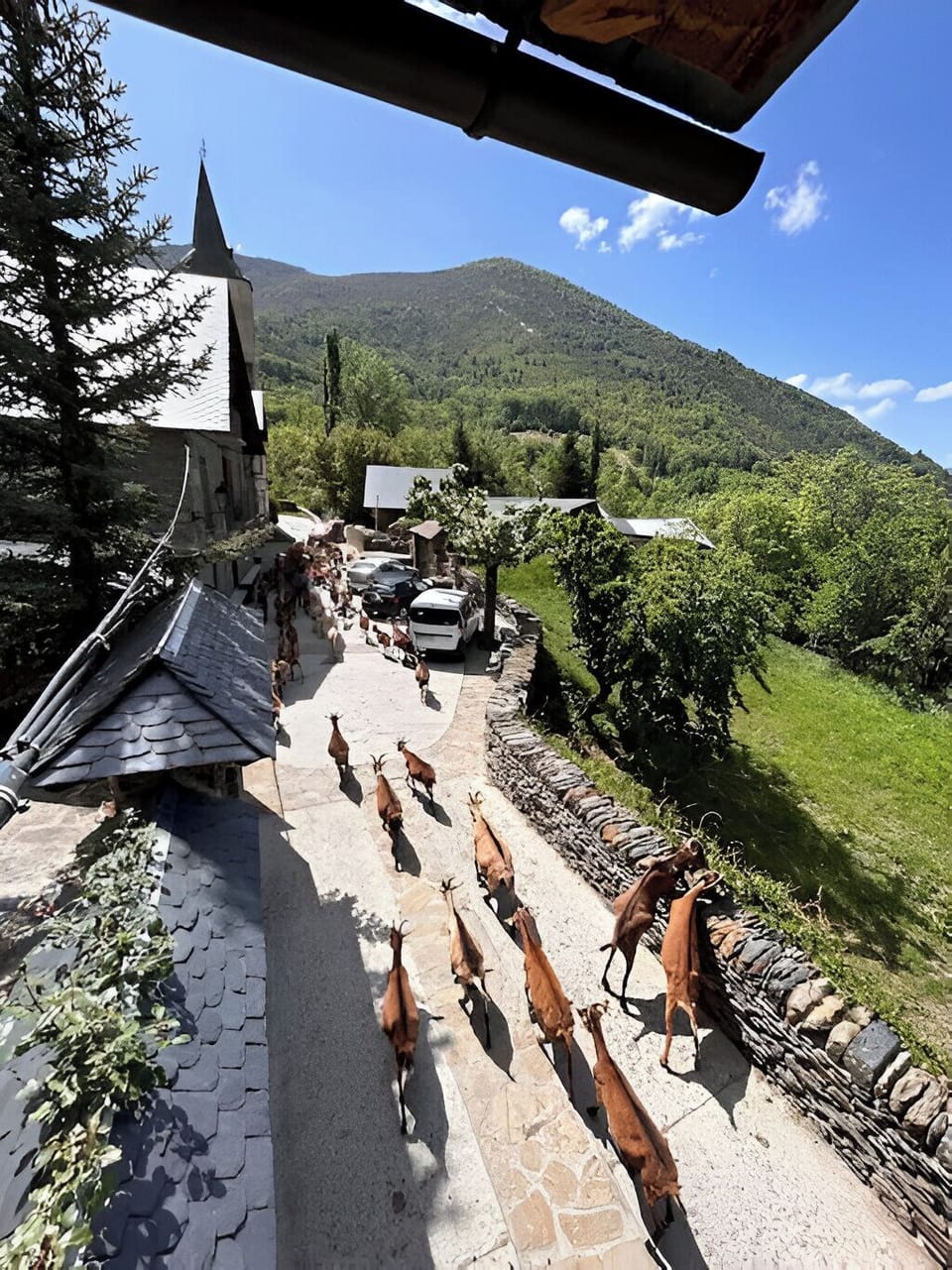 View from property