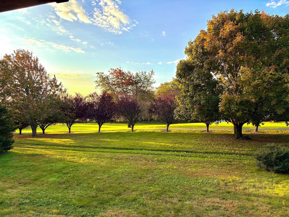 Expansive lawn and meadow views — plenty of room to roam and unwind