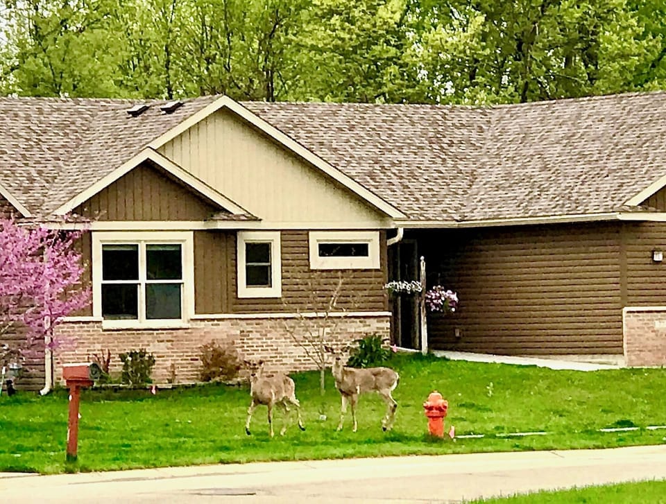 Deer & other wildlife frequently visit the River Court Retreat.