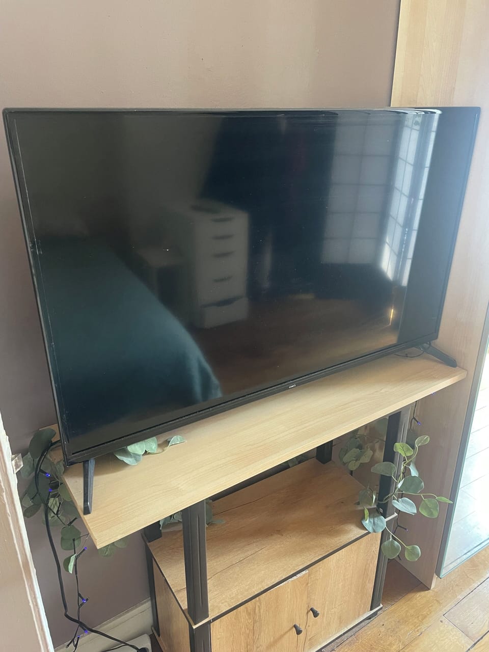 Television