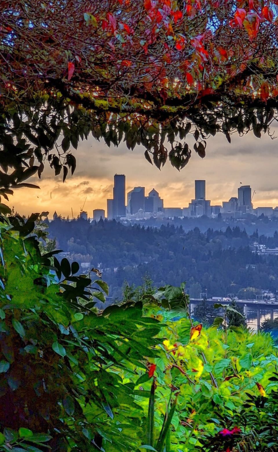View from property