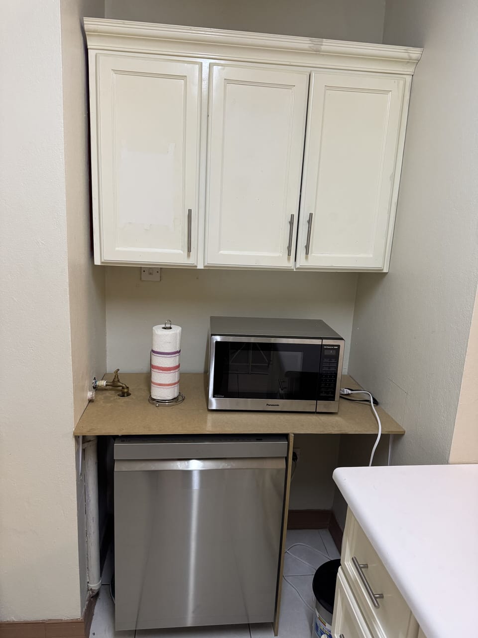 Microwave and dishwasher