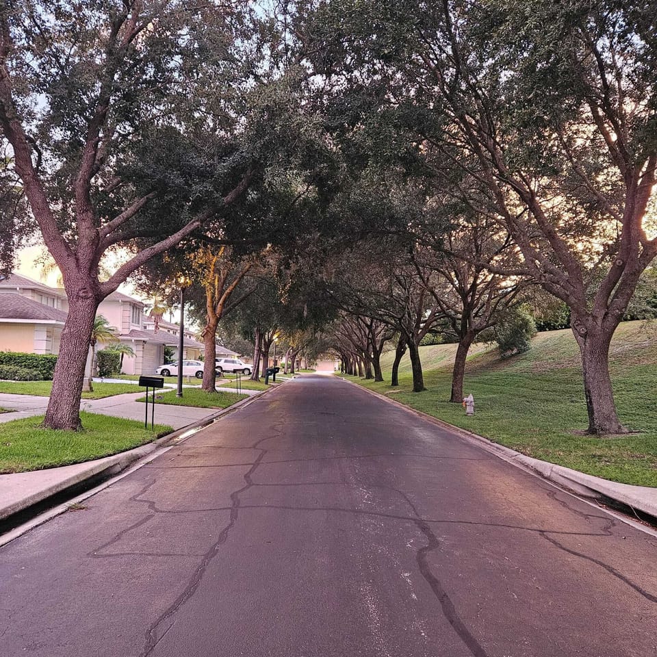 Tree-lined cul-de-sac