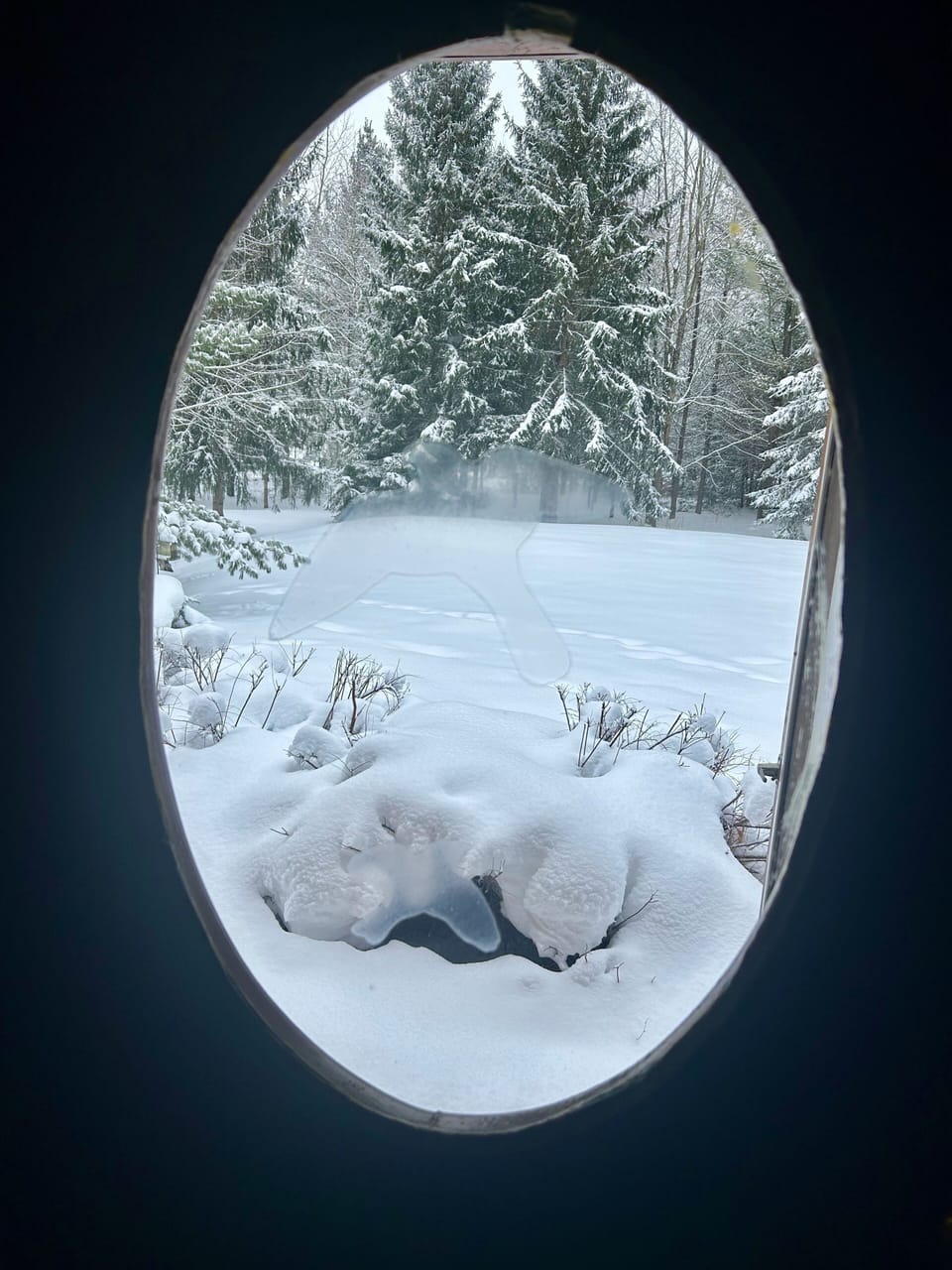 View from property