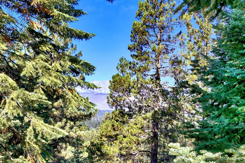 South Lake Tahoe Large Luxury Villa Mountain View