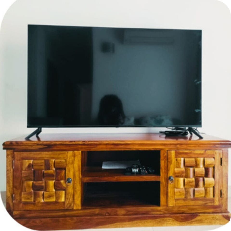 Television
