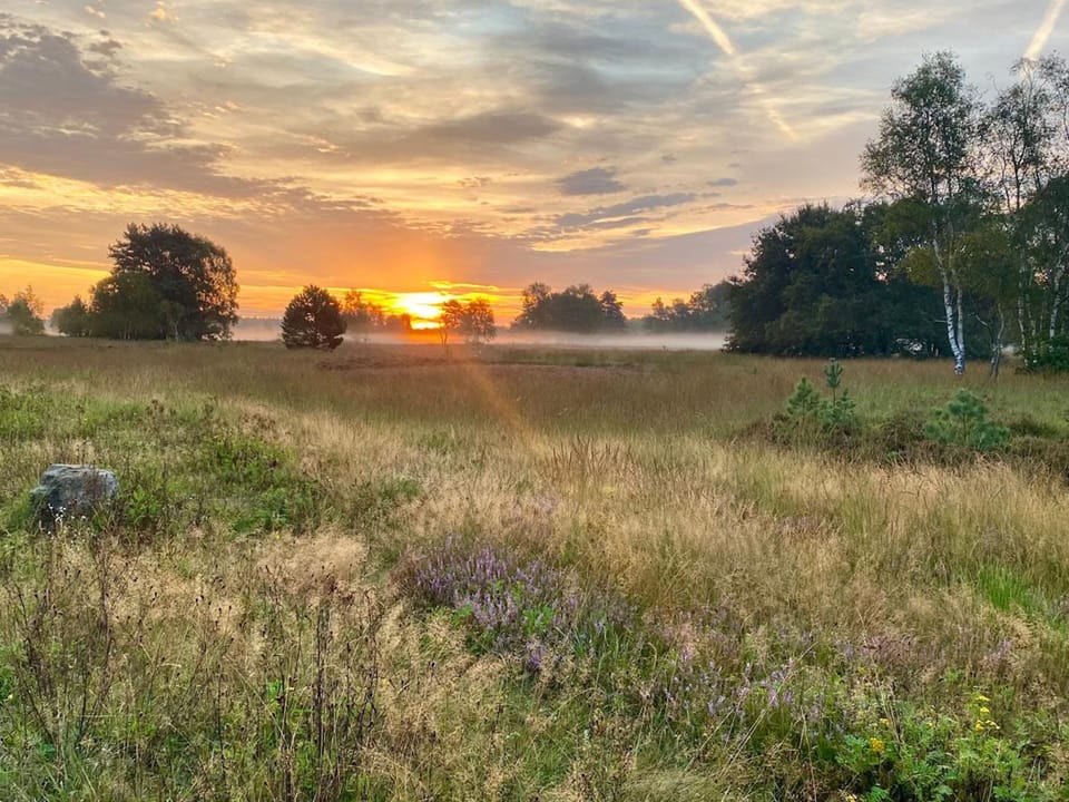 Surroundings [summer] (1-5 km)