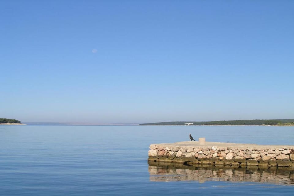 Region [summer] (>5 km)