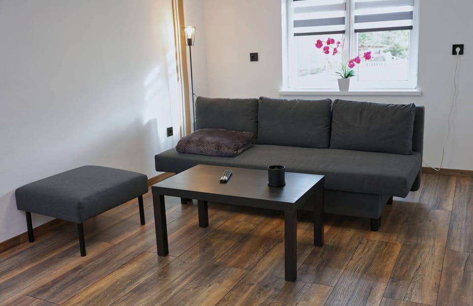 Living area with fold-out sofa