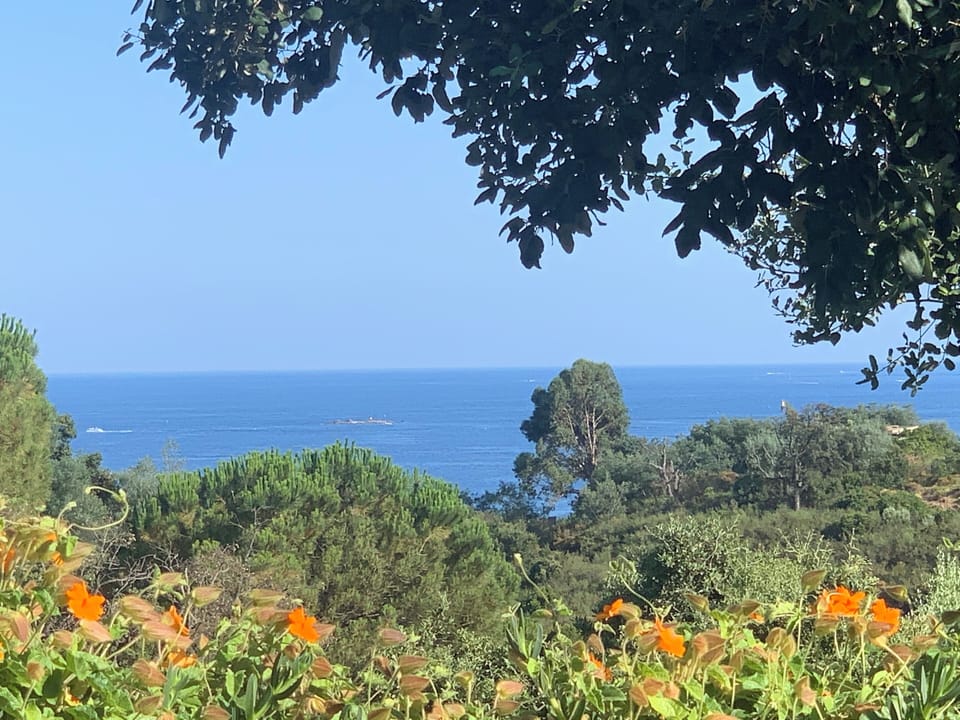 sea view