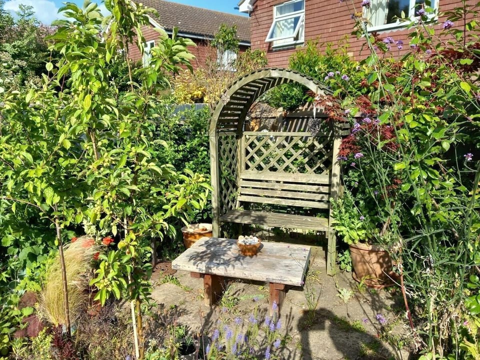 Back Garden