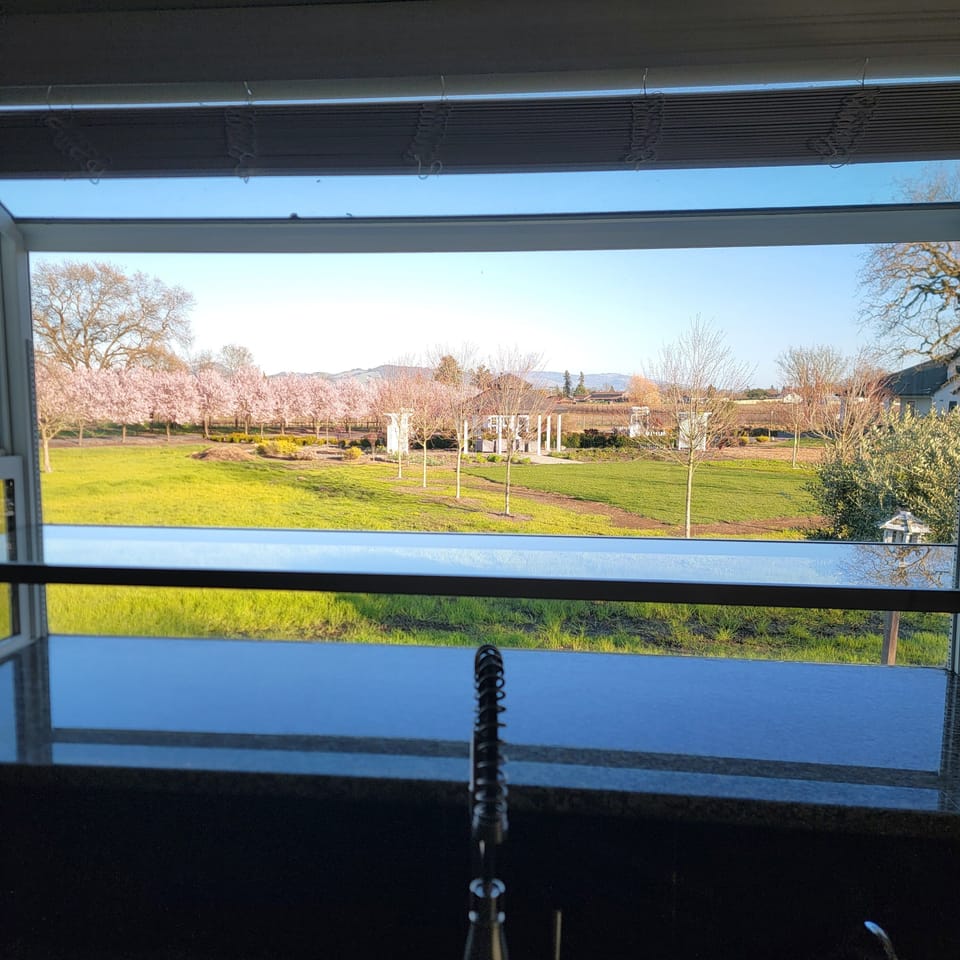 View from kitchen window