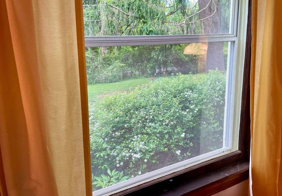 Suite boasts huge sunny windows
