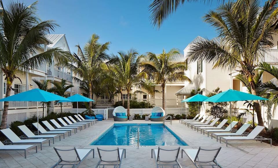Dive into sunlit relaxation by the palm-framed pool.