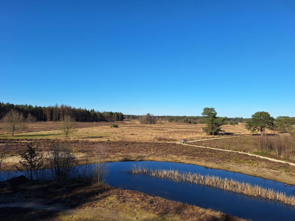 Surroundings [summer] (1-5 km)