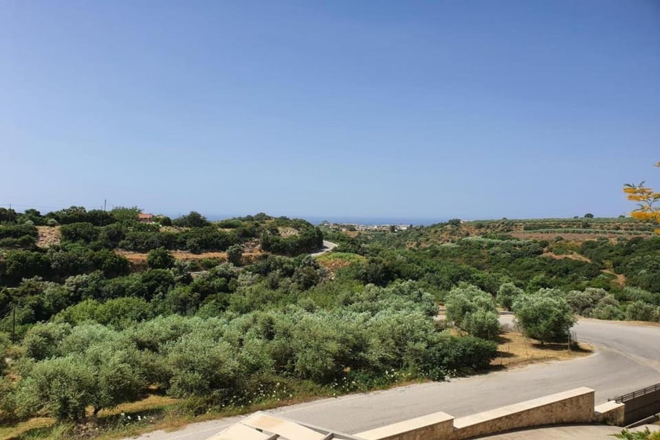 Region [summer] (>5 km)