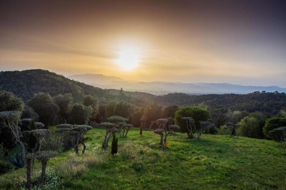 Surroundings [summer] (1-5 km)