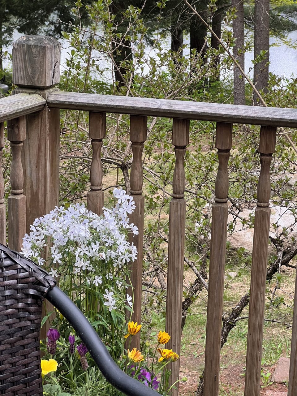 Lovely view of the lake from the porch table