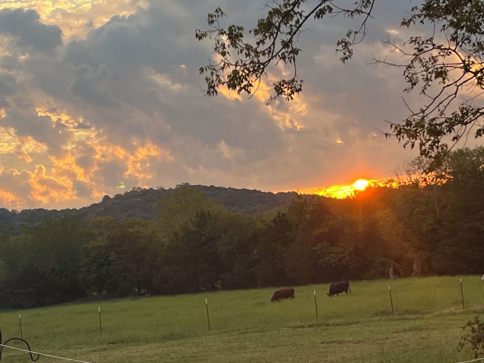 Sunrise on the farm.