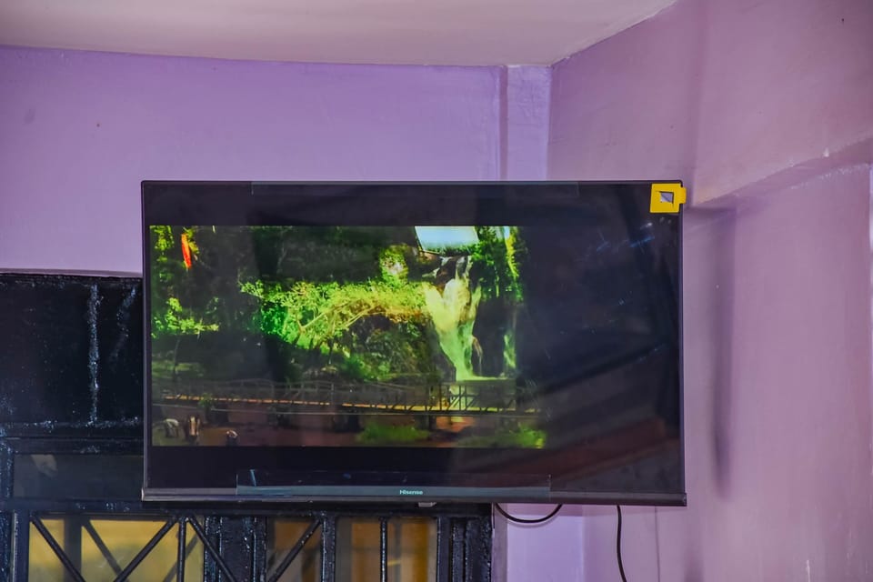 Television