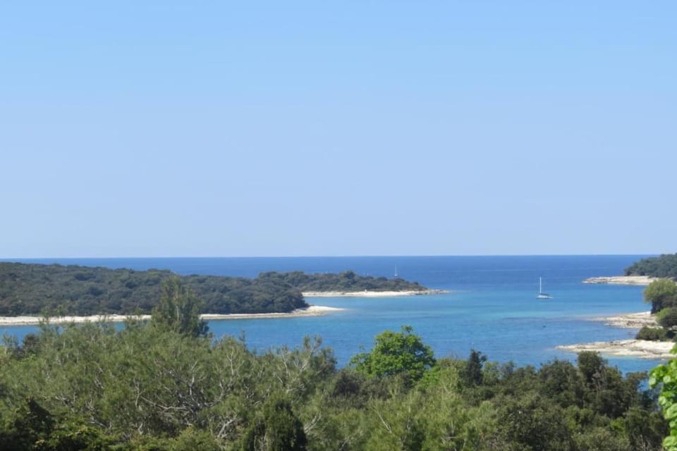 Region [summer] (>5 km)