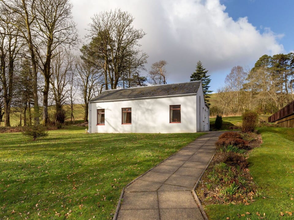 Grass, Tree, Branch, Shrub, House, Home, Cottage, Land Lot, Roof, Rural Area