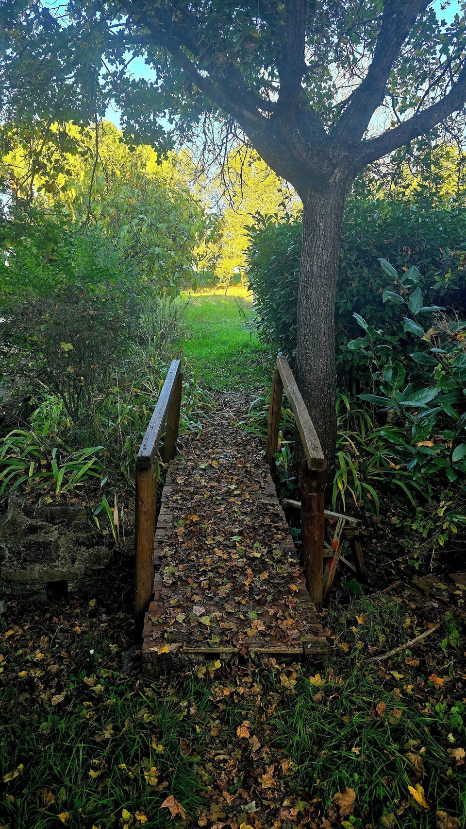 Property grounds
